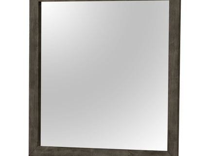 Modern Design Transitional Wall Mirror