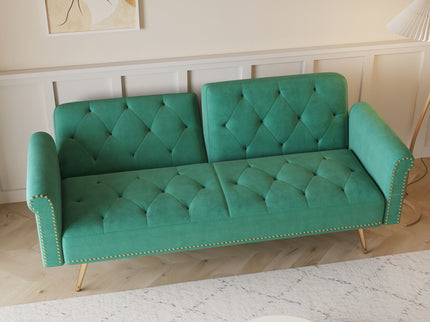 Luxurious Sofa Bed With Nail Head Trim And Matching Pillow