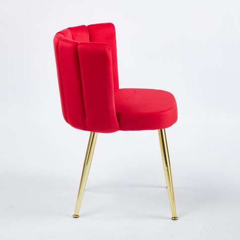 Ergonomic Dining Chair (Set of 2)
