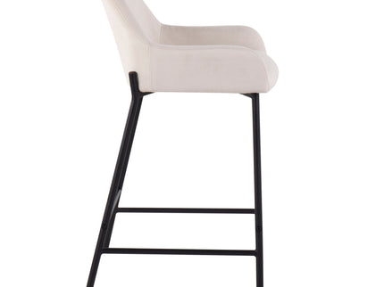 Daniella - Industrial Fixed Height Counter Stool (Set of 2)