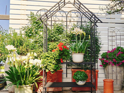 Garden Arch With Bench Turned Into Flower Stand Climbing Plants Support Outdoor - Black