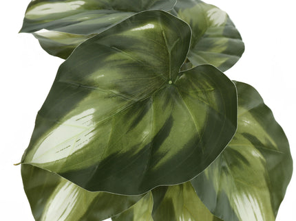 13" Tall, Artificial Plant, Monstera Calthea, Indoor, Faux, Fake, Table, Greenery, Potted, Decorative (Set of 2) - Green / Black