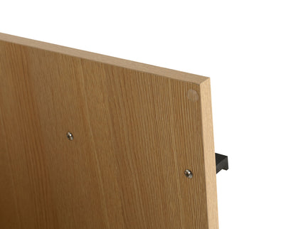 Modern Freestanding Bathroom Vanity With 2 Doors