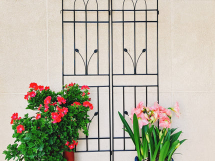 Metal Garden Trellis Rustproof For Climbing Plants Outdoor Flower Support