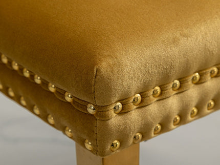 Nikki - Modern, High-End Tufted Dining Chair (Set of 2)
