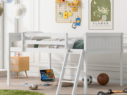 Low Loft Bed With Adjustable Ladder