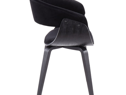 Vintage Mod - Mid-Century Modern Dining Chair (Set of 2)