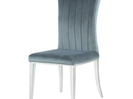 Tufted Side Upholstered Dining Chair (Set of 2) - Gray