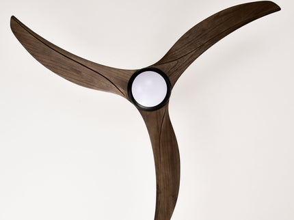 Indoor Outdoor Ceiling Fan With Light With Remote Control, Noiseless Reversible Motor, 6 Speed, 3 Color