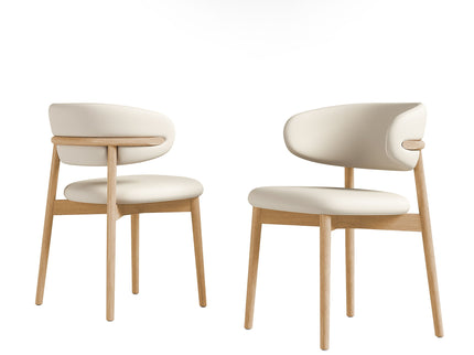 Mid-Century Modern Dining Chair (Set of 2)
