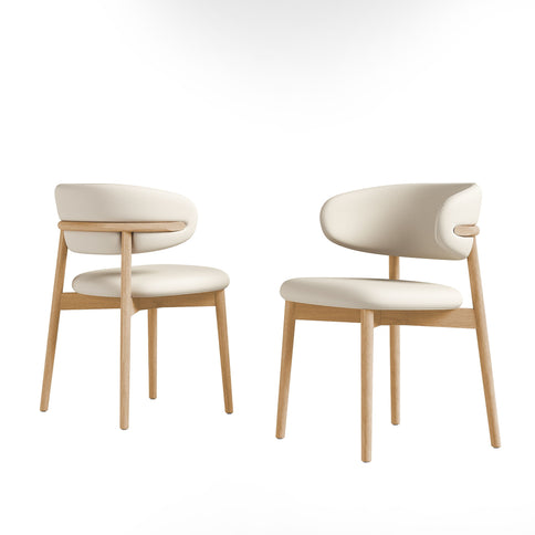 Mid-Century Modern Dining Chair (Set of 2)