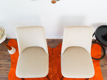 Clove - Mid-Century Dining Chair (Set of 2)