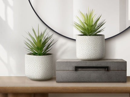Artificial Succulent, Table Decor (Set of 2) - Green - Plastic