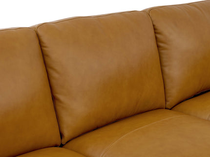 Large Seating Modular Sectional