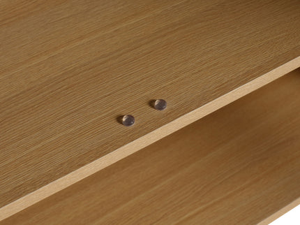 Modern Freestanding Bathroom Vanity With 2 Doors