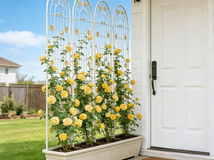 Metal Garden Trellis Rustproof Trellis For Climbing Plant Outdoor Flower Support