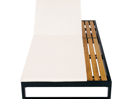 Chaise Lounge Set, 5 Position Adjustable, Flat Side Surface Storage