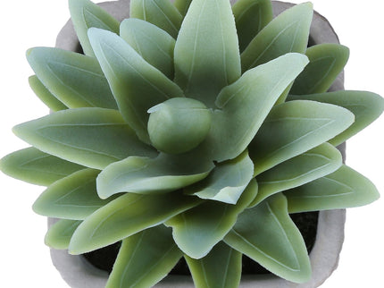 Artificial Succulent, Table Decor (Set of 2) - Green / Gray