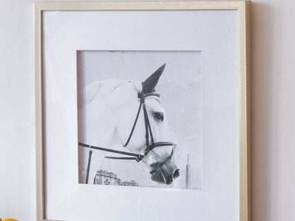 Wall Art Horse Animal Printing, Wall Decor Accent (Set of 2) - Golden / White