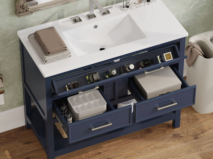Bathroom Vanity With Ceramic Sink, Tip Out Tray & 2 Full Extension Drawers
