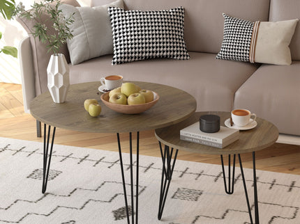 Round Nesting Coffee Table For Living Room (Set of 2)