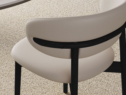 Mid-Century Modern Dining Chair (Set of 2)