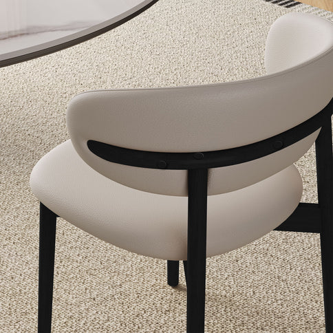 Mid-Century Modern Dining Chair (Set of 2)