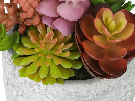 Artificial Succulent, Table Decor (Set of 2) - Green / Gray - Plastic