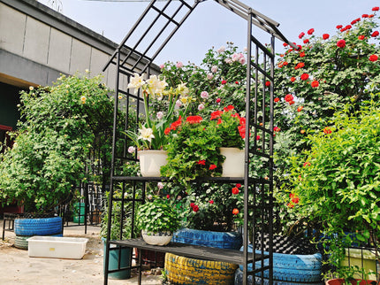 Garden Arch With Bench Turned Into Flower Stand Climbing Plants Support Outdoor - Black