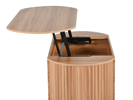 Lift Top Coffee Table With Hidden Compartment, Modern Oval Lift Tabletop For Home Living Room
