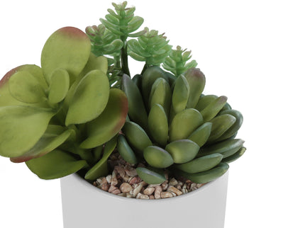 Artificial Succulent Plants (Set of 2)