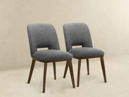 Blake - Modern Dining Chair (Set of 2)