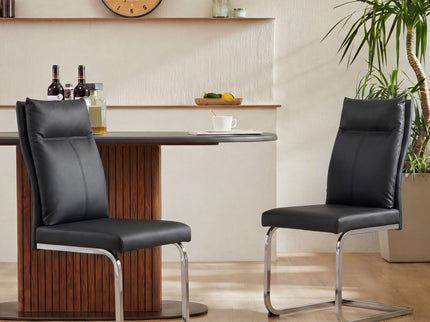 Modern Dining Chair SetWith Soft Cushion Backrest (2 Pieces)