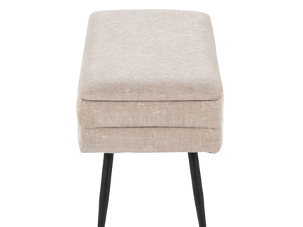 Neapolitan - Contemporary Storage Bench