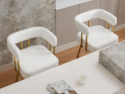 Decorative Upholstered Side Chair For Living Room (Set of 2)