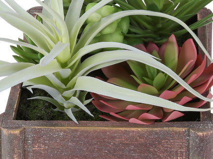 Artificial Succulent, Table Decor (Set of 2) - Green / Dark Brown