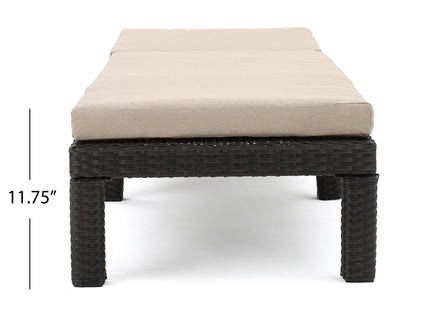Puerta - Chaise Lounge Frame Cushion Outdoor Wicker Iron - Beige / Dark Brown