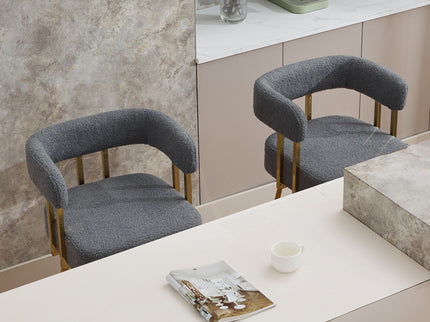 Decorative Upholstered Side Chair For Living Room (Set of 2)