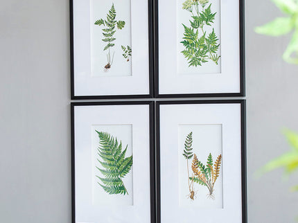 Botanical And Fern Wall Art, Wall Decor For Living Room Dining Room Entryway (Set of 4) - White / Black