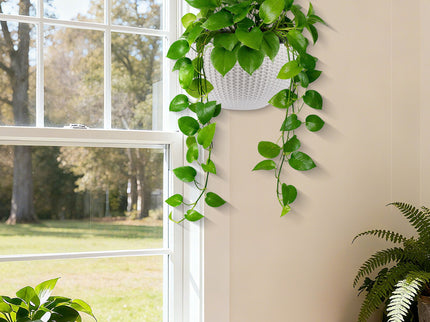 Self Watering Hanging Planter