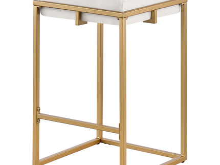 Square Counter Height Stools (Set of 2) - Beige / Gold