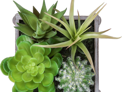 Artificial Succulent, Table Decor (Set of 2) - Green / Dark Gray