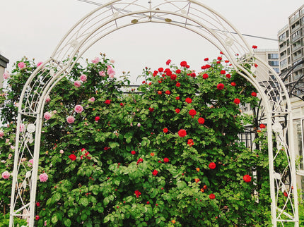 Metal Garden Arch Assemble Freely With 8 Styles Garden Arbor Trellis Climbing Plants Support Rose Arch