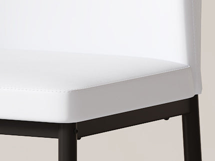 Ergonomic Simple Chair With Metal Leg