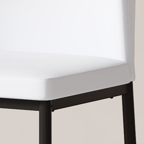 Ergonomic Simple Chair With Metal Leg