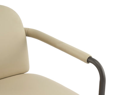 Modern Dining Chair (Set of 2) With Iron Frame - Espresso / Khaki