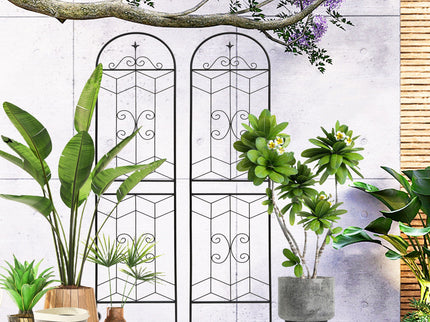 Garden Trellis, Rustproof Support For Climbing Plants