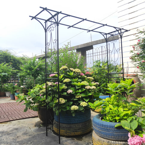 Metal Garden Arch Climbing Plants Support Rose Arch Outdoor - Black