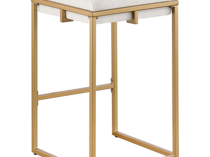 Square Counter Height Stools (Set of 2) - Beige / Gold