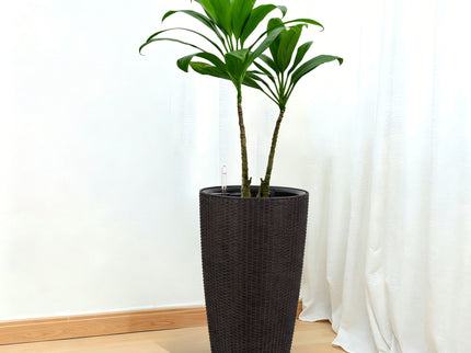 Tall Planters Set With Water Level Monitor And Auto Watering